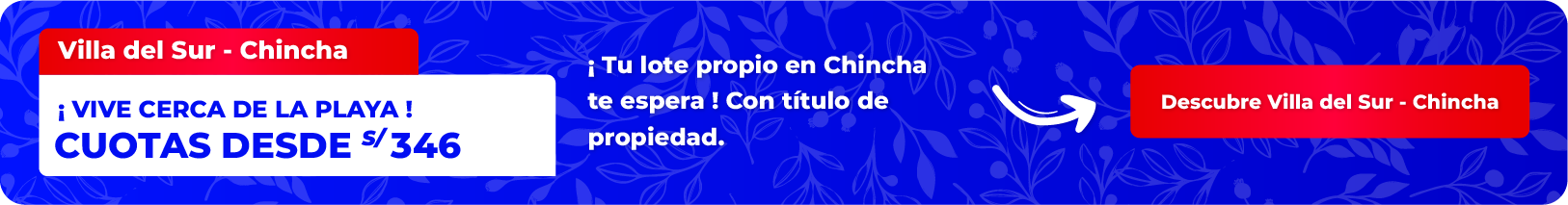 Recurso 3